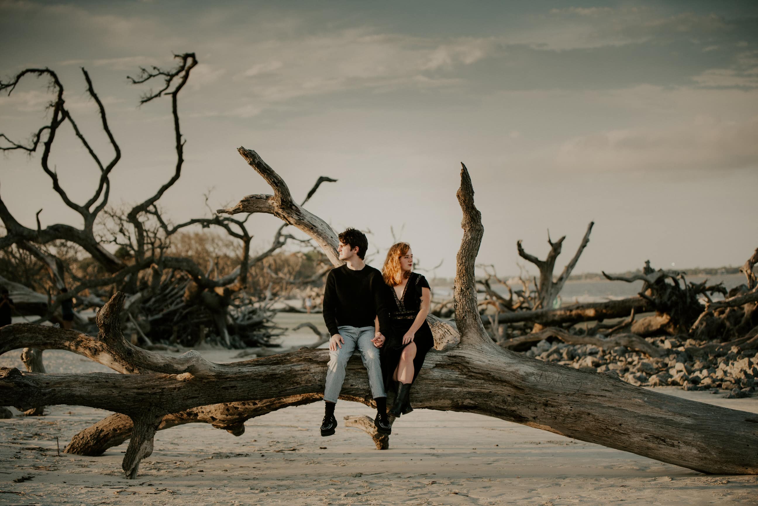 Moody photo of couple on downed tree