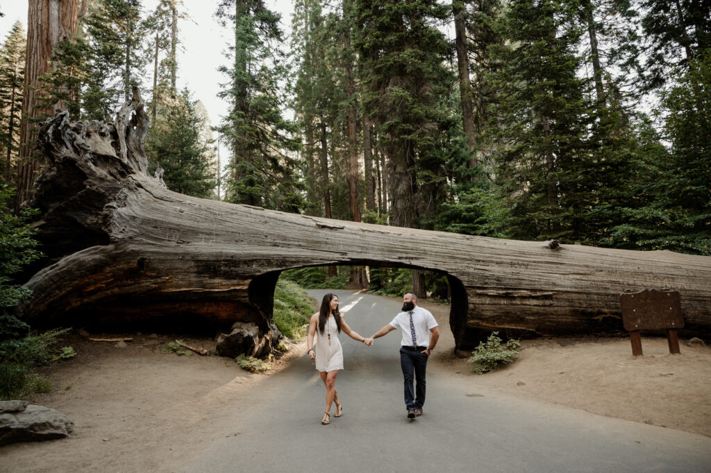 Sequoia & Kings Canyon elopement