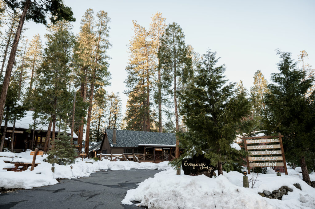 Yosemite Elopement Guide 