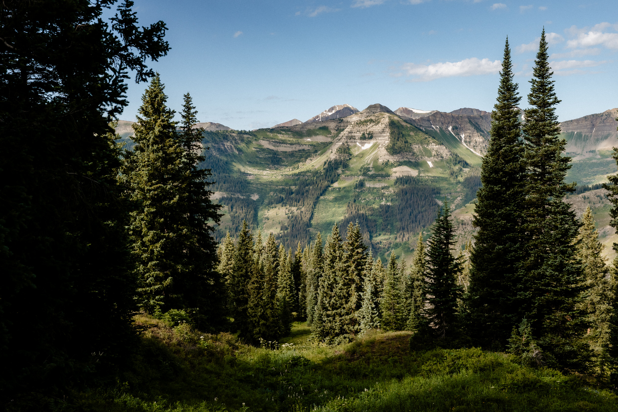 Crested Butte Land Trust Wedding