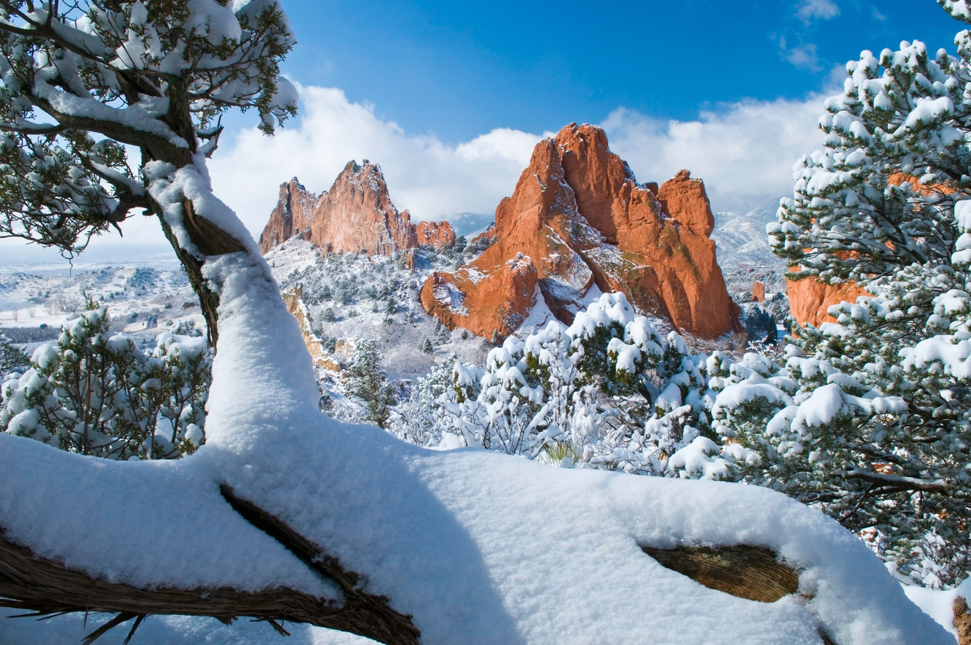 Garden of The Gods Elopement Winter