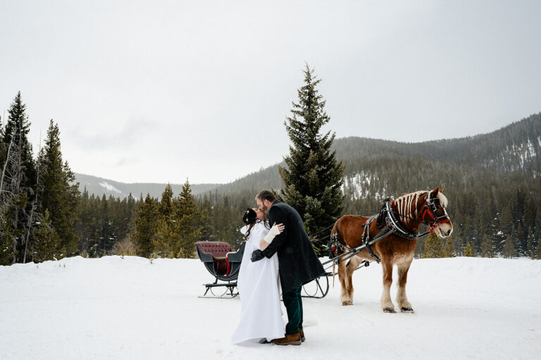 couple going on a sleigh ride with a horse on their elopement day