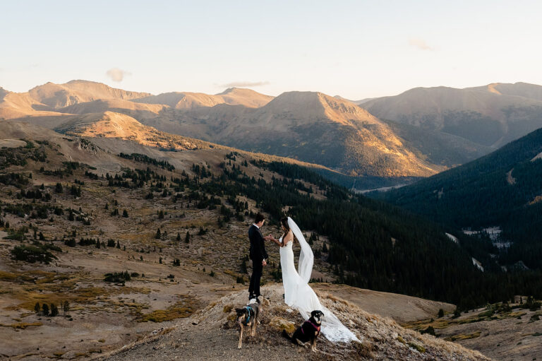 couple eloping with their dogs in the mountains of Colorado