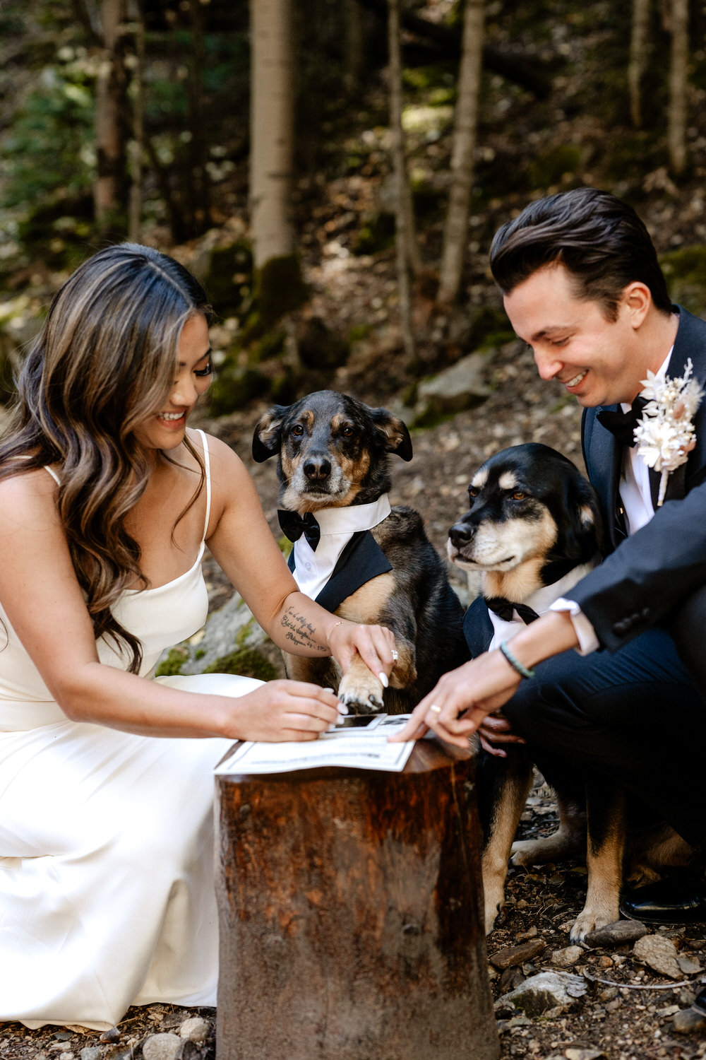 Breckenridge elopement dogs signing marriage license 