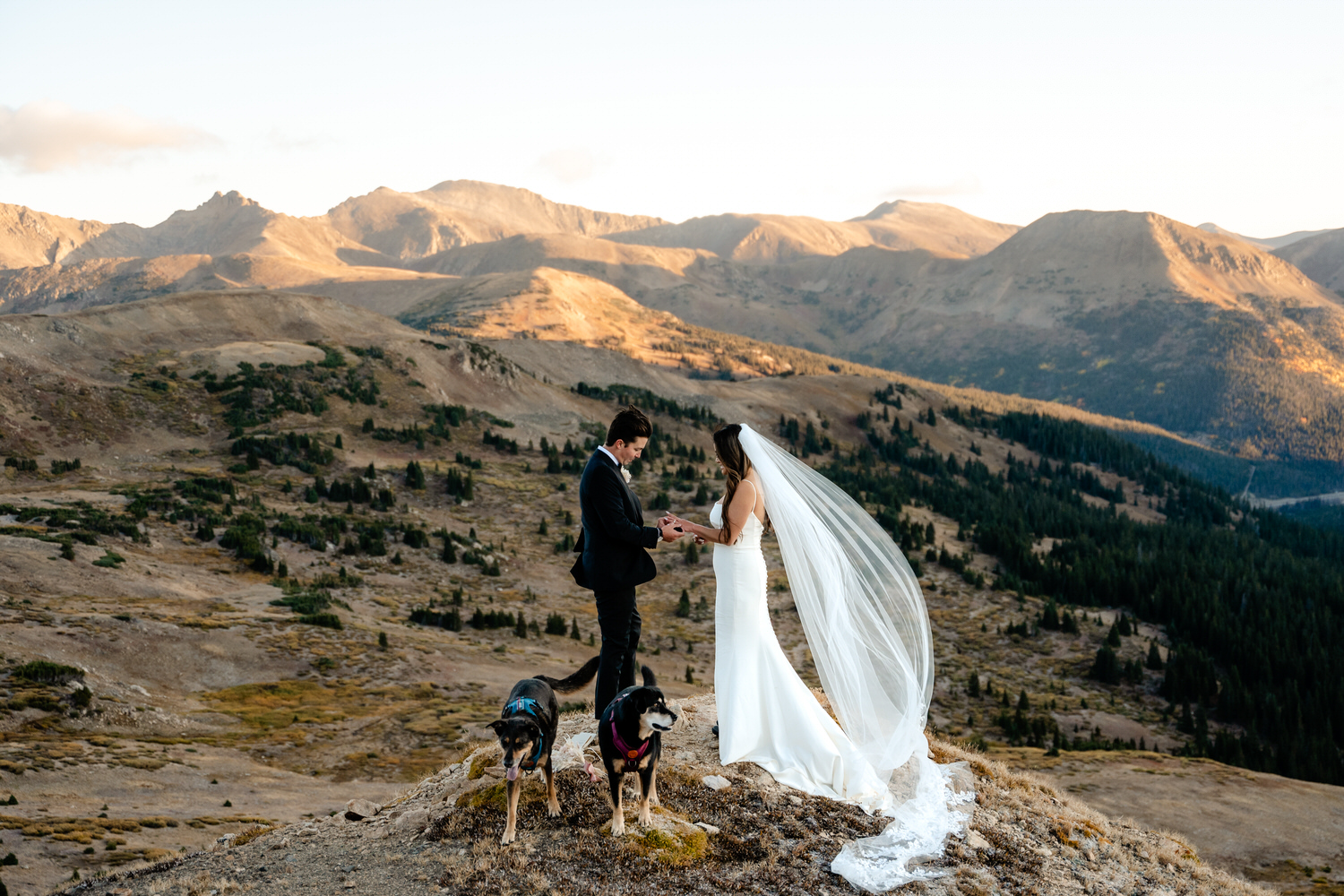breckenridge elopement