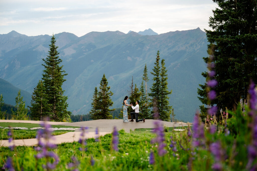 Colorado Proposal