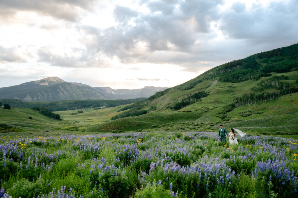 Flower field next to Mountain Wedding Garden