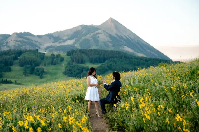 Colorado proposal location ideas in wildflowers