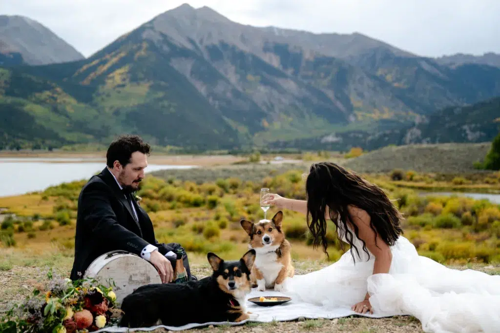 elopement picnic