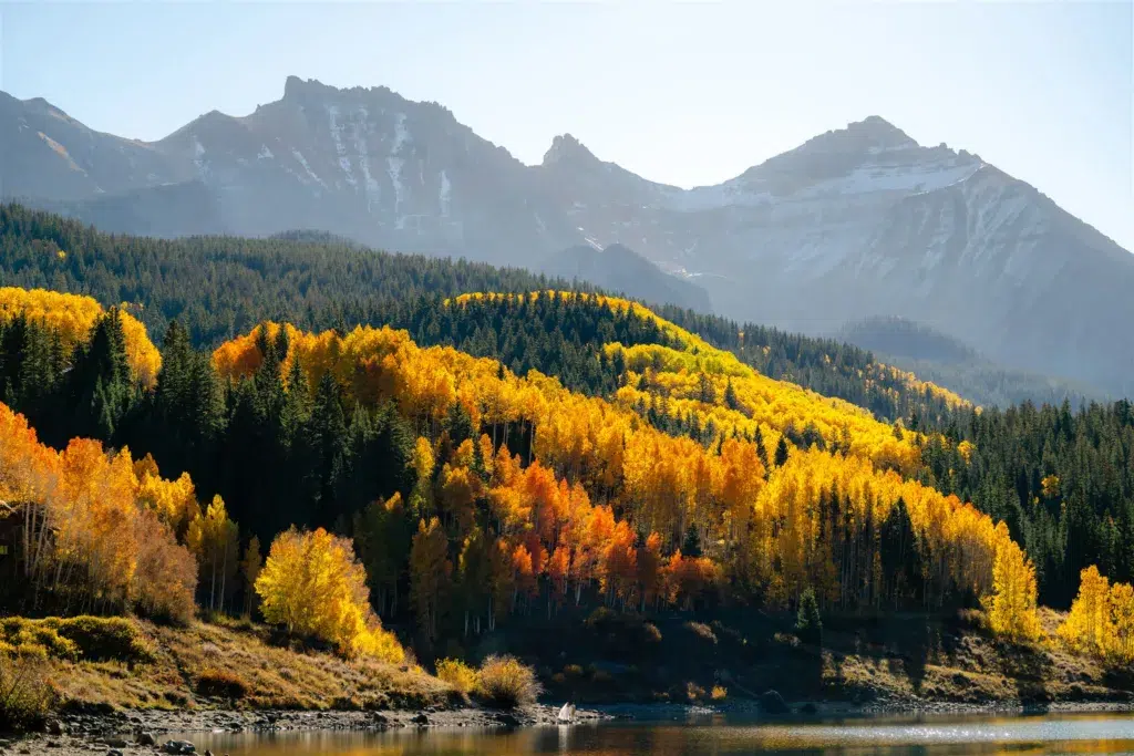 Telluride elopement in the fall
