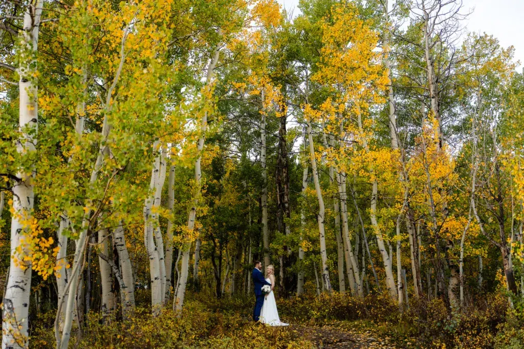 Woods Walk Wedding Crested Butte
